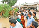 Crocodiles in the river: Panic in Chidambaram
