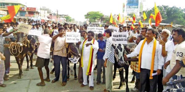 Open to the Cauvery water: Karnataka border tension on the bandh